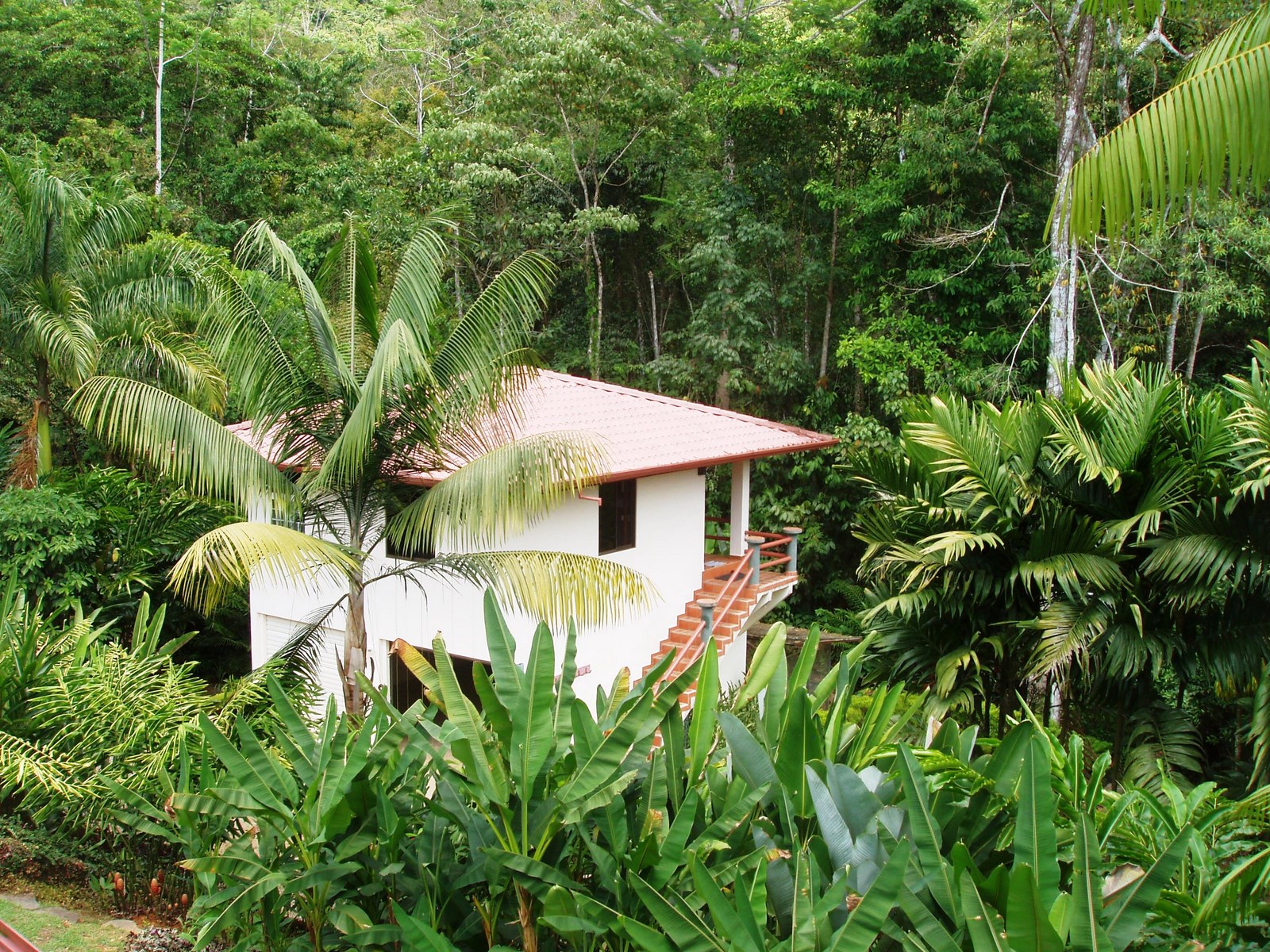 4 bed Single Family Homes For Sale in Uvita, Puntarenas - thumb 15