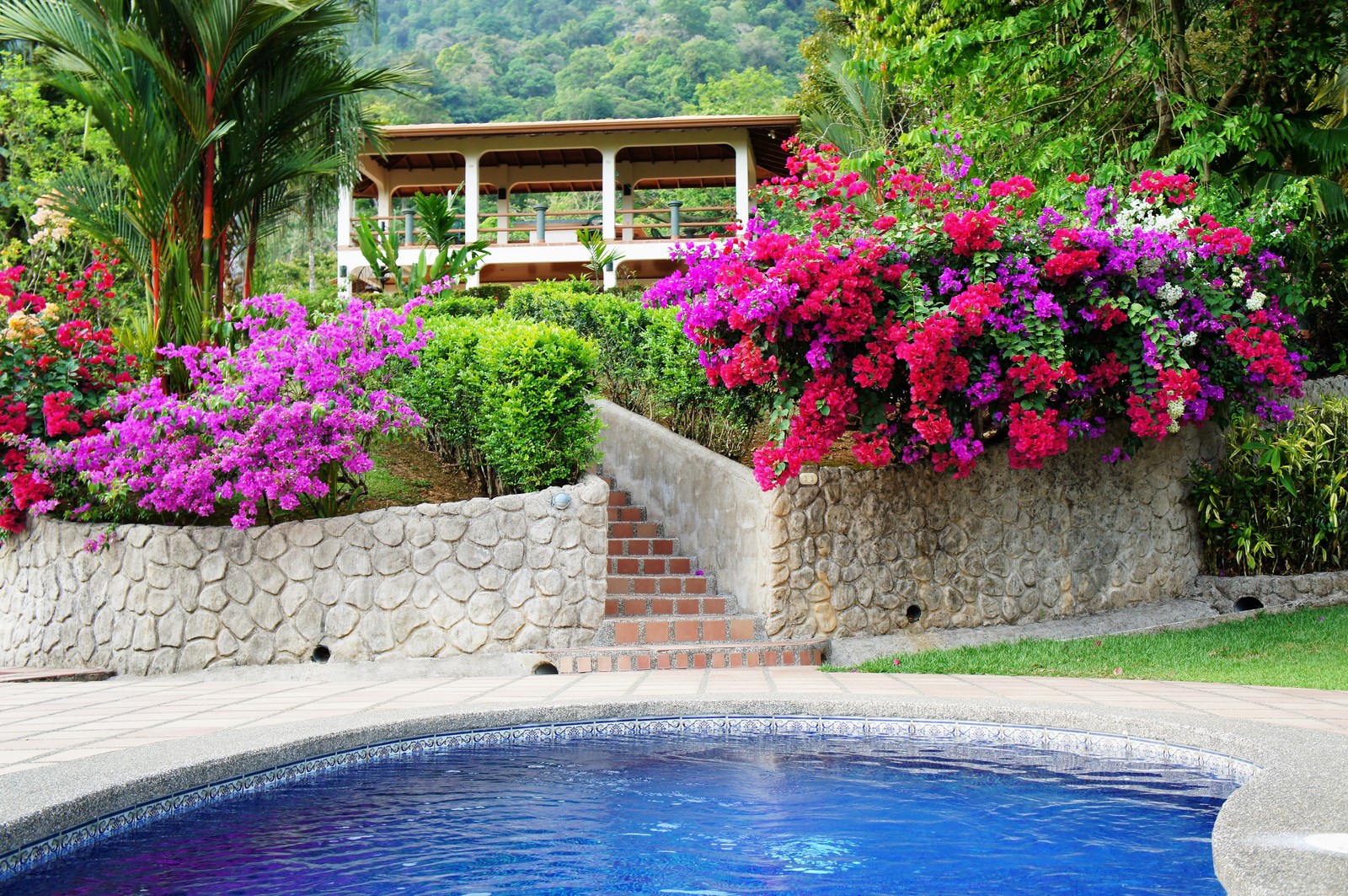 4 bed Single Family Homes For Sale in Uvita, Puntarenas - thumb 1