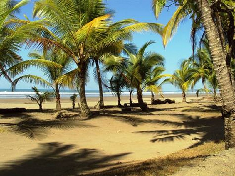3 bed Single Family Homes For Sale in Esterillos, Puntarenas - thumb 8