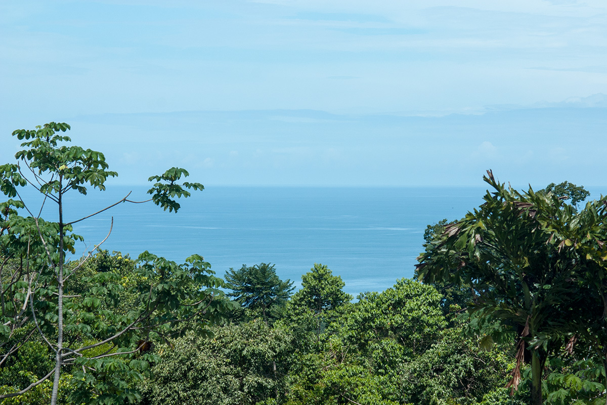 1 bed Single Family Homes For Sale in Uvita, Puntarenas - thumb 6