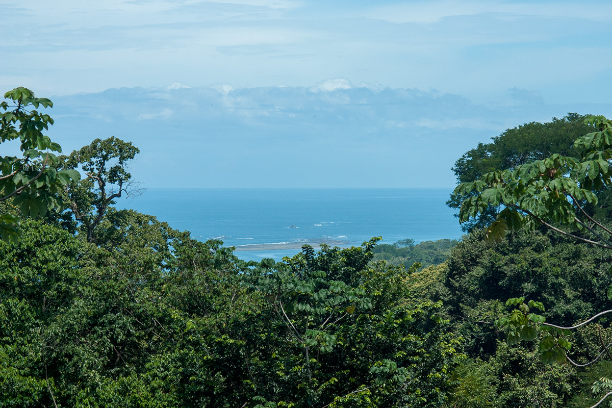 1 bed Single Family Homes For Sale in Uvita, Puntarenas - thumb 17