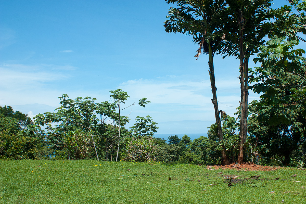 1 bed Single Family Homes For Sale in Uvita, Puntarenas - thumb 9