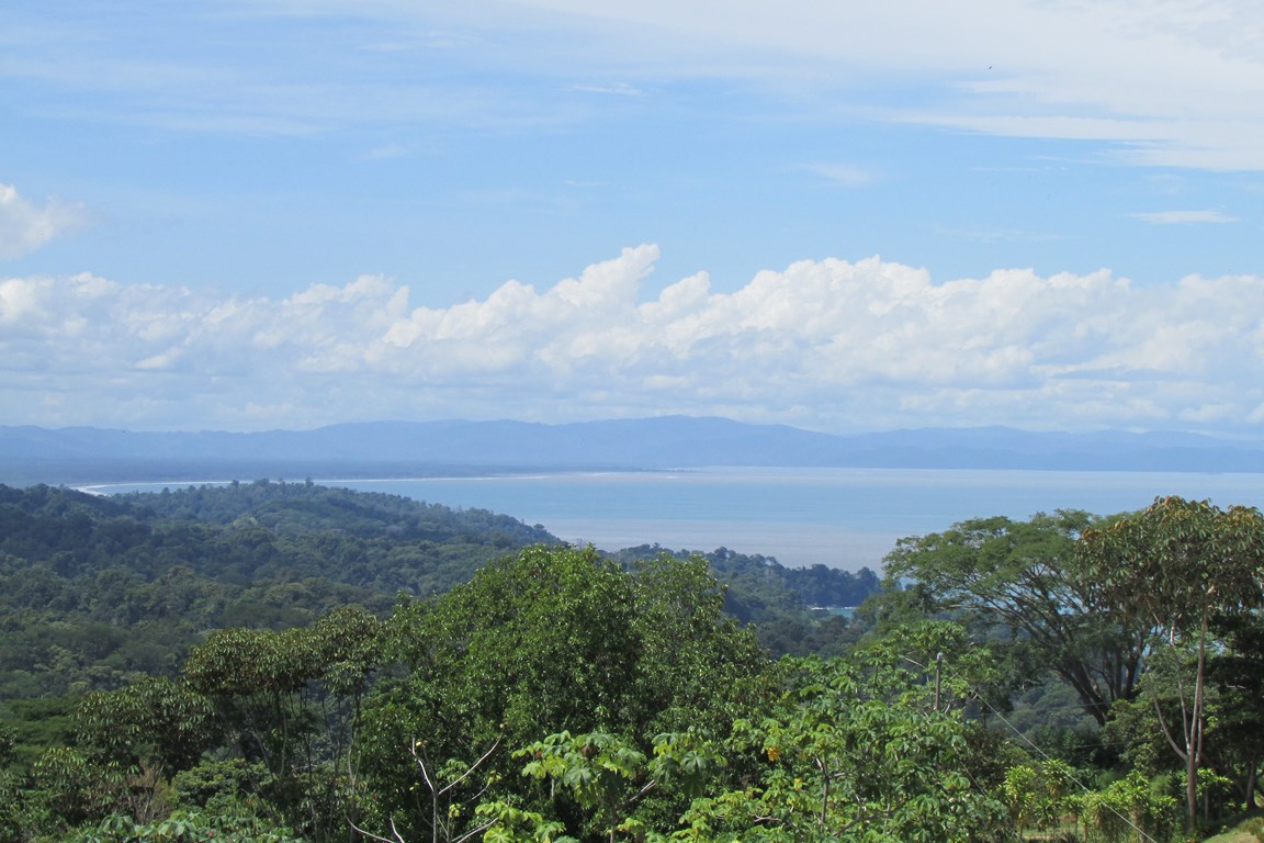 1 bed Single Family Homes For Sale in Uvita, Puntarenas - thumb 15