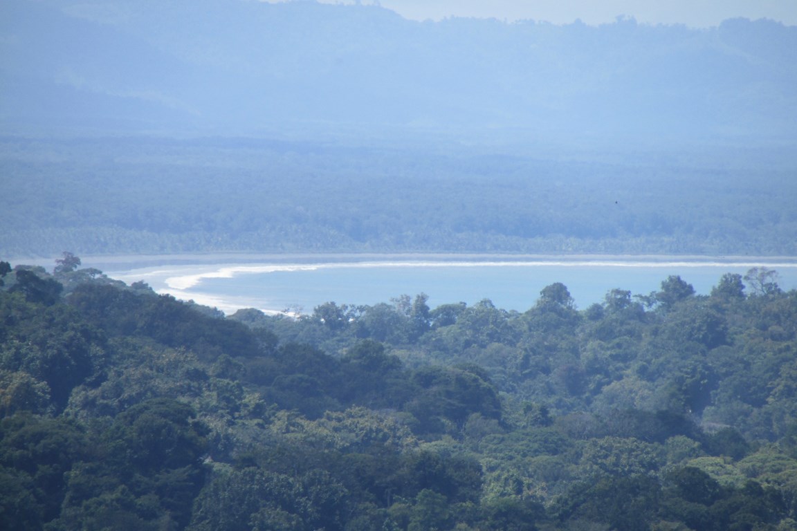 1 bed Single Family Homes For Sale in Uvita, Puntarenas - thumb 4