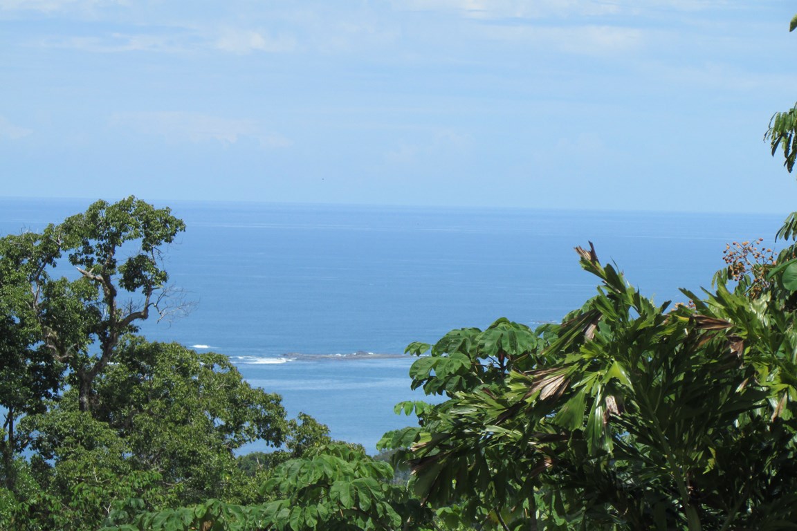 1 bed Single Family Homes For Sale in Uvita, Puntarenas - thumb 2