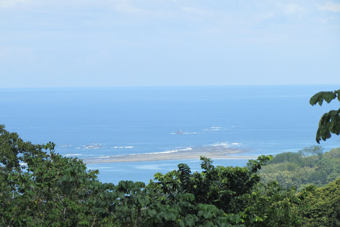 1 bed Single Family Homes For Sale in Uvita, Puntarenas - thumb 19