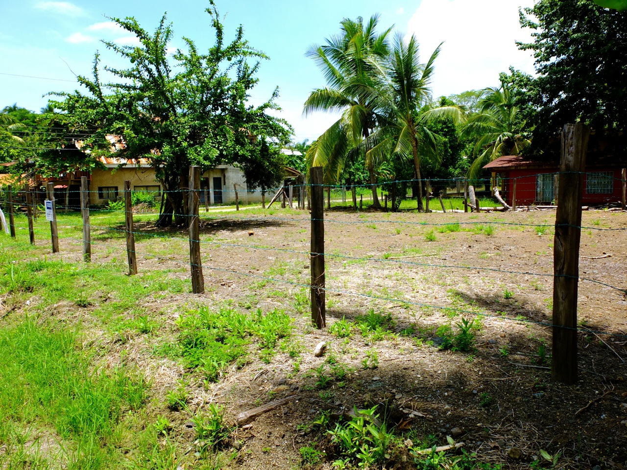 0 bed Land For Sale in Samara, Guanacaste - thumb 1