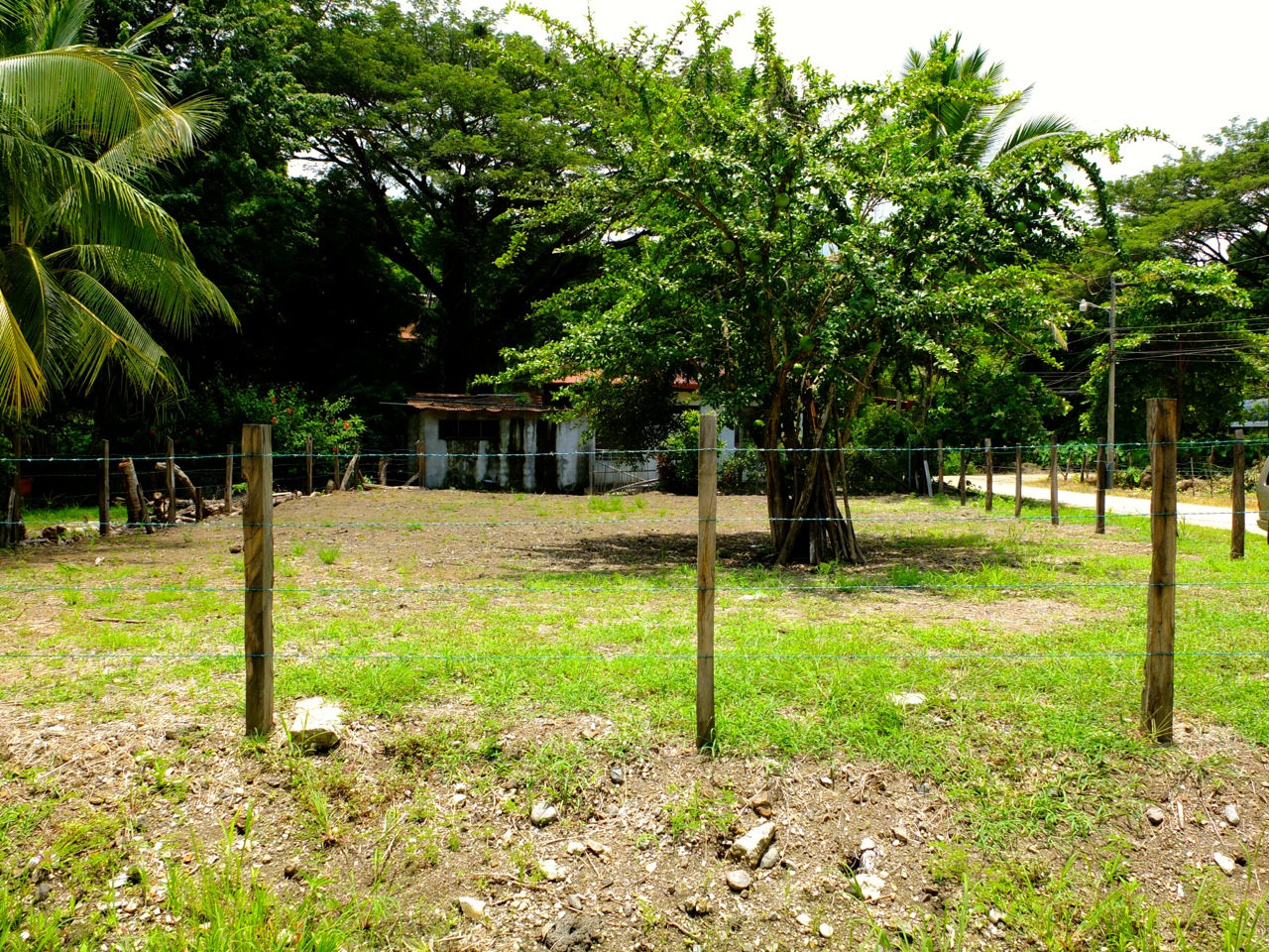 0 bed Land For Sale in Samara, Guanacaste - thumb 4