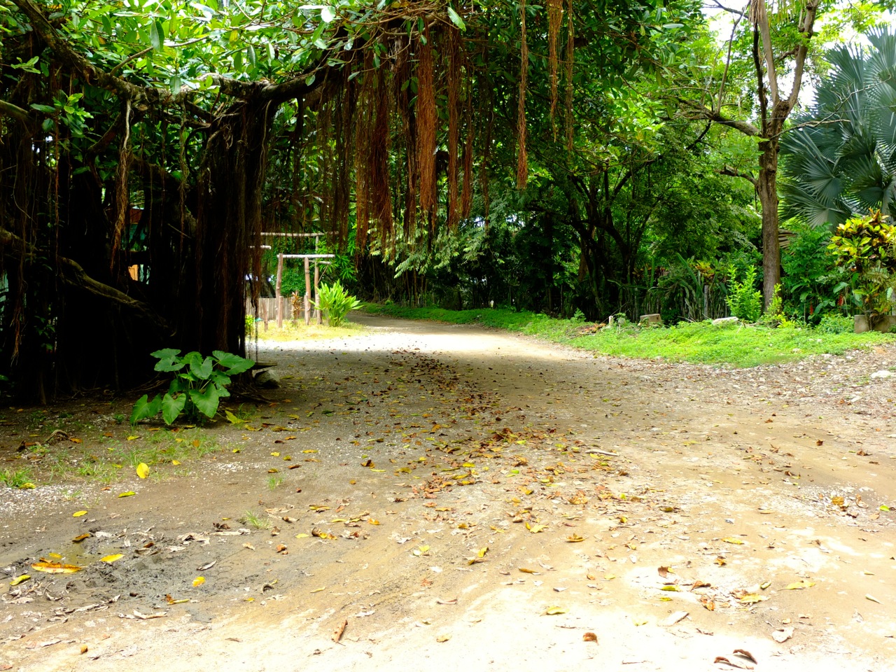0 bed Land For Sale in Samara, Guanacaste - thumb 6