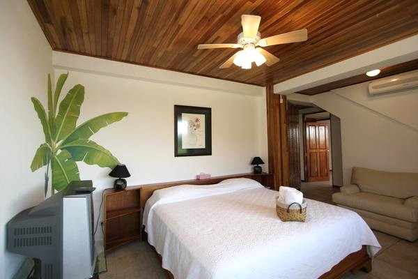 4 bed Single Family Homes For Sale in Manuel Antonio, Puntarenas - thumb 11