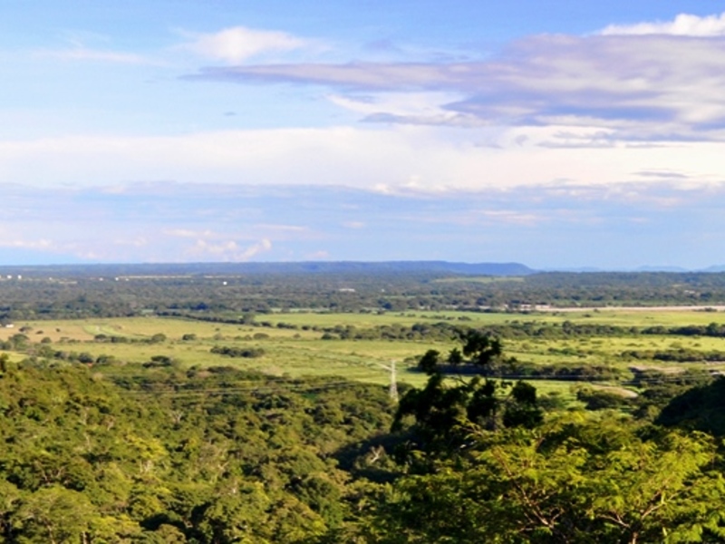 0 bed Land For Sale in Ostional, Guanacaste - 1