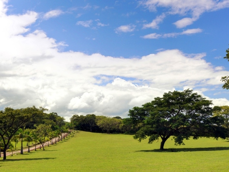 0 bed Land For Sale in Papagayo Gulf, Guanacaste - 1