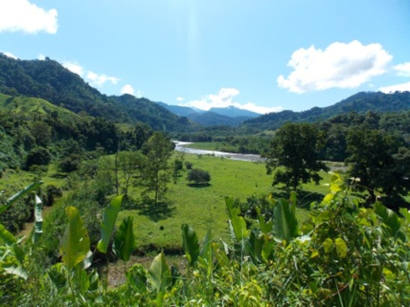 0 bed Land For Sale in Quepos, Puntarenas - 1
