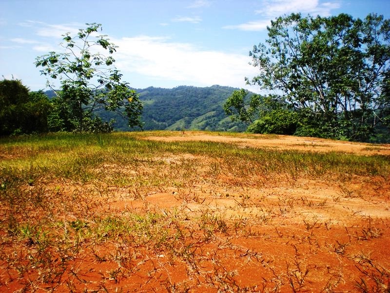 0 bed Land For Sale in Dominical, Puntarenas - thumb 2