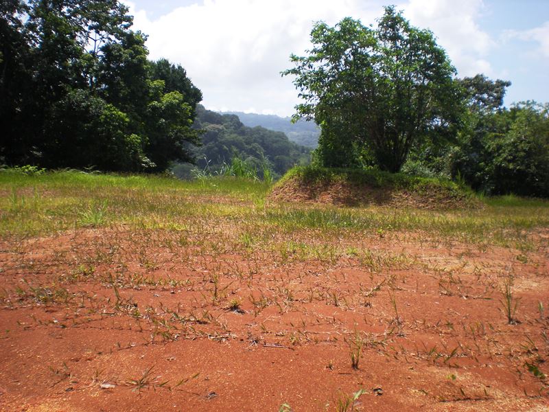 0 bed Land For Sale in Dominical, Puntarenas - thumb 4