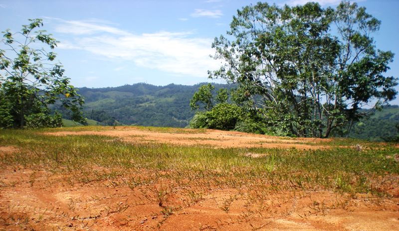0 bed Land For Sale in Dominical, Puntarenas - thumb 3