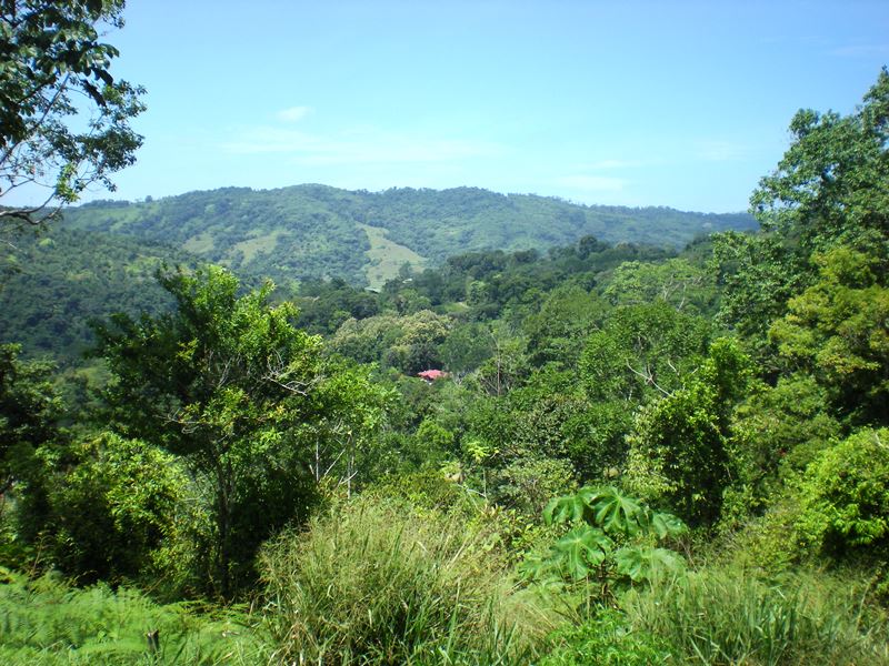 0 bed Land For Sale in Dominical, Puntarenas - thumb 6