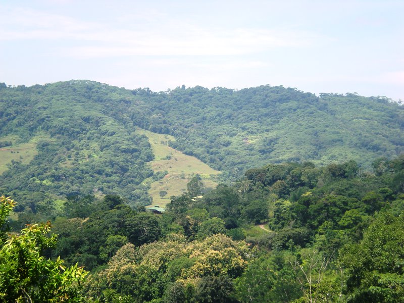 0 bed Land For Sale in Dominical, Puntarenas - thumb 1