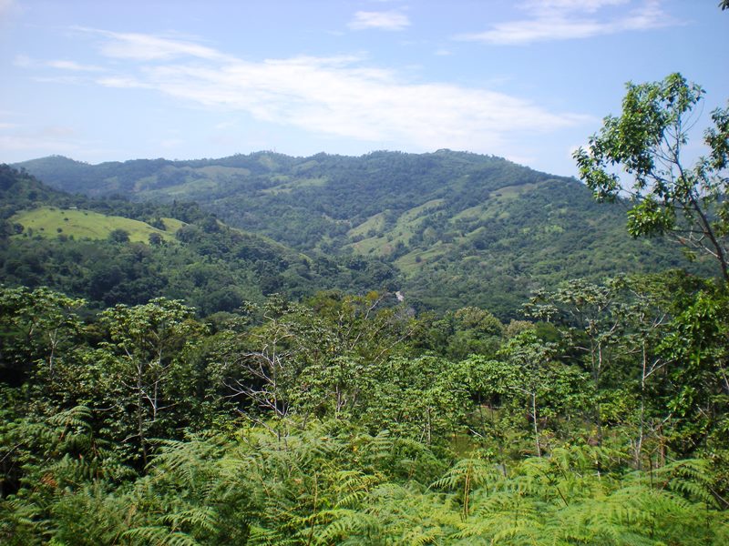 0 bed Land For Sale in Dominical, Puntarenas - thumb 7