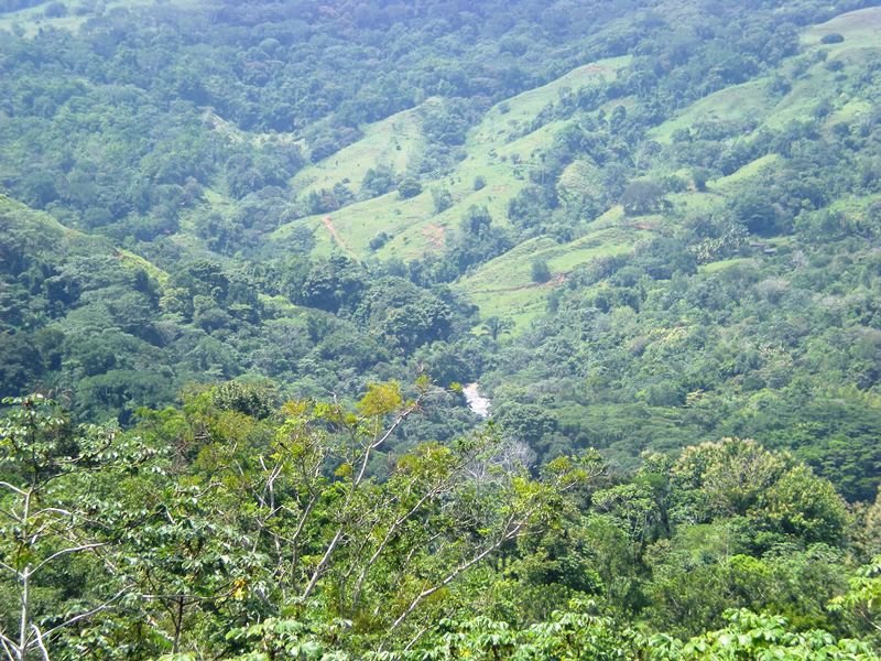 0 bed Land For Sale in Dominical, Puntarenas - thumb 11