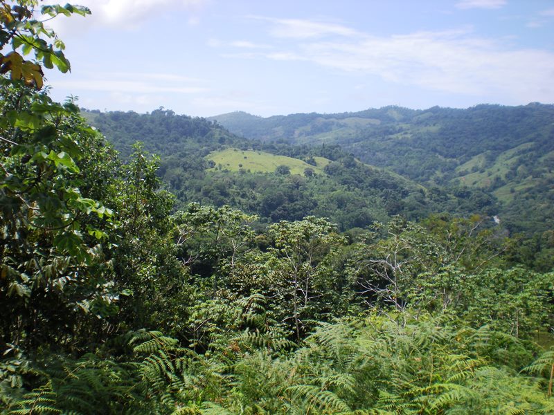 0 bed Land For Sale in Dominical, Puntarenas - thumb 8