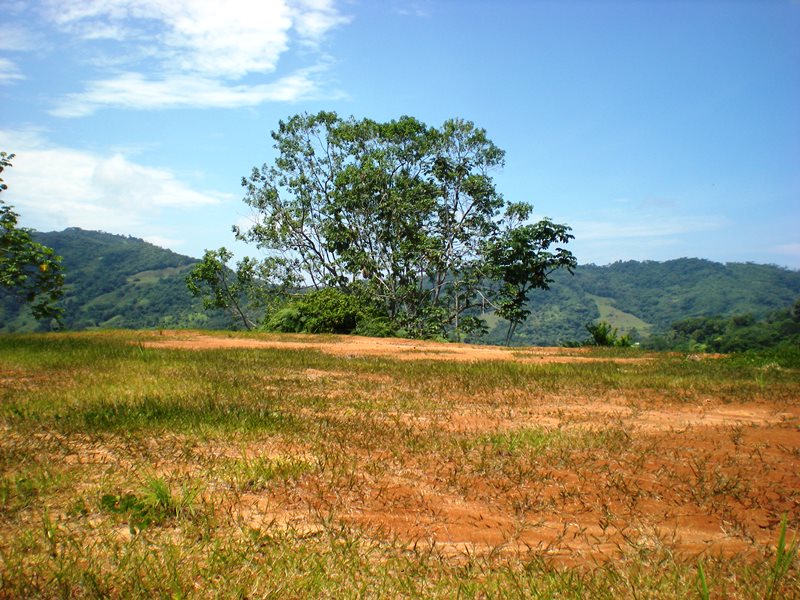 0 bed Land For Sale in Dominical, Puntarenas - thumb 5
