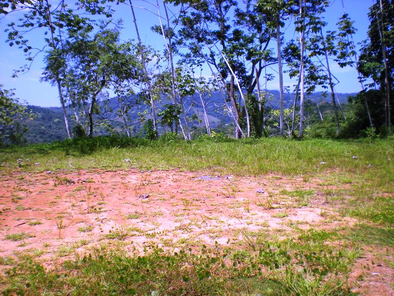 0 bed Land For Sale in Dominical, Puntarenas - thumb 12