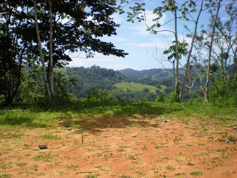 0 bed Land For Sale in Dominical, Puntarenas - thumb 15