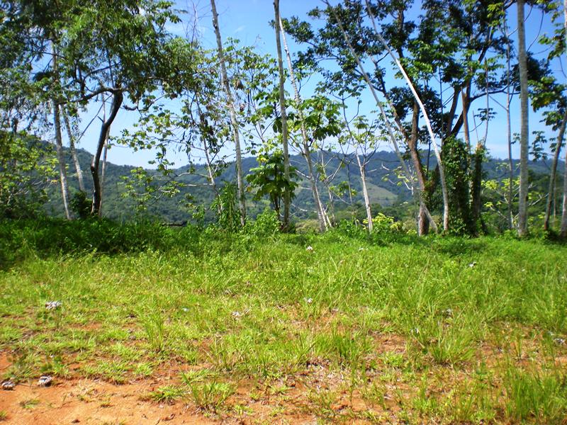 0 bed Land For Sale in Dominical, Puntarenas - thumb 13