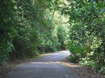 3 bed Condo For Sale in Punta Leona, Puntarenas - thumb 10
