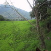  - 7 Acre Lot in \"Hills of Portalon\"