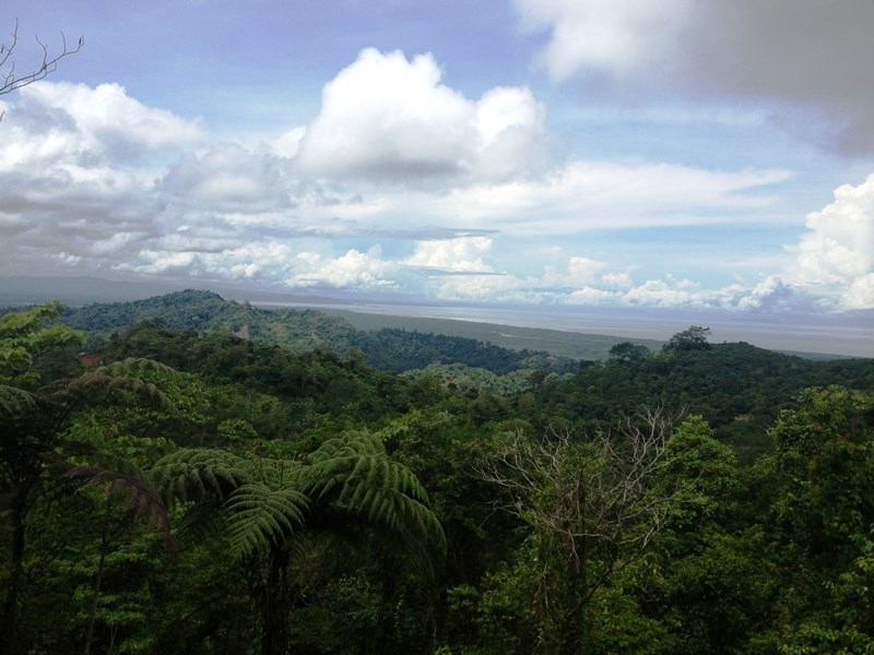 0 bed Land For Sale in Ojochal, Puntarenas - 1
