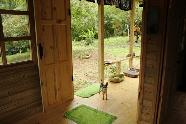 1 bed Single Family Homes For Sale in Dominical, Puntarenas - thumb 5