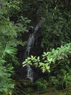 1 bed Single Family Homes For Sale in Dominical, Puntarenas - thumb 11