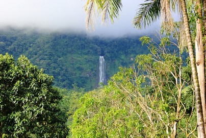 1 bed Single Family Homes For Sale in Dominical, Puntarenas - thumb 15