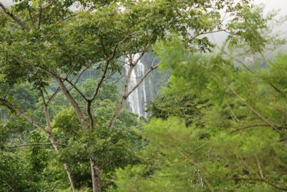1 bed Single Family Homes For Sale in Dominical, Puntarenas - thumb 20