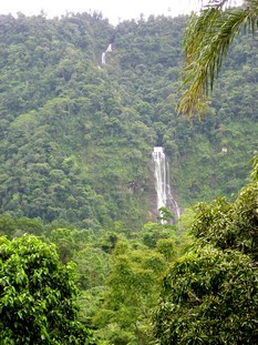 1 bed Single Family Homes For Sale in Dominical, Puntarenas - thumb 23