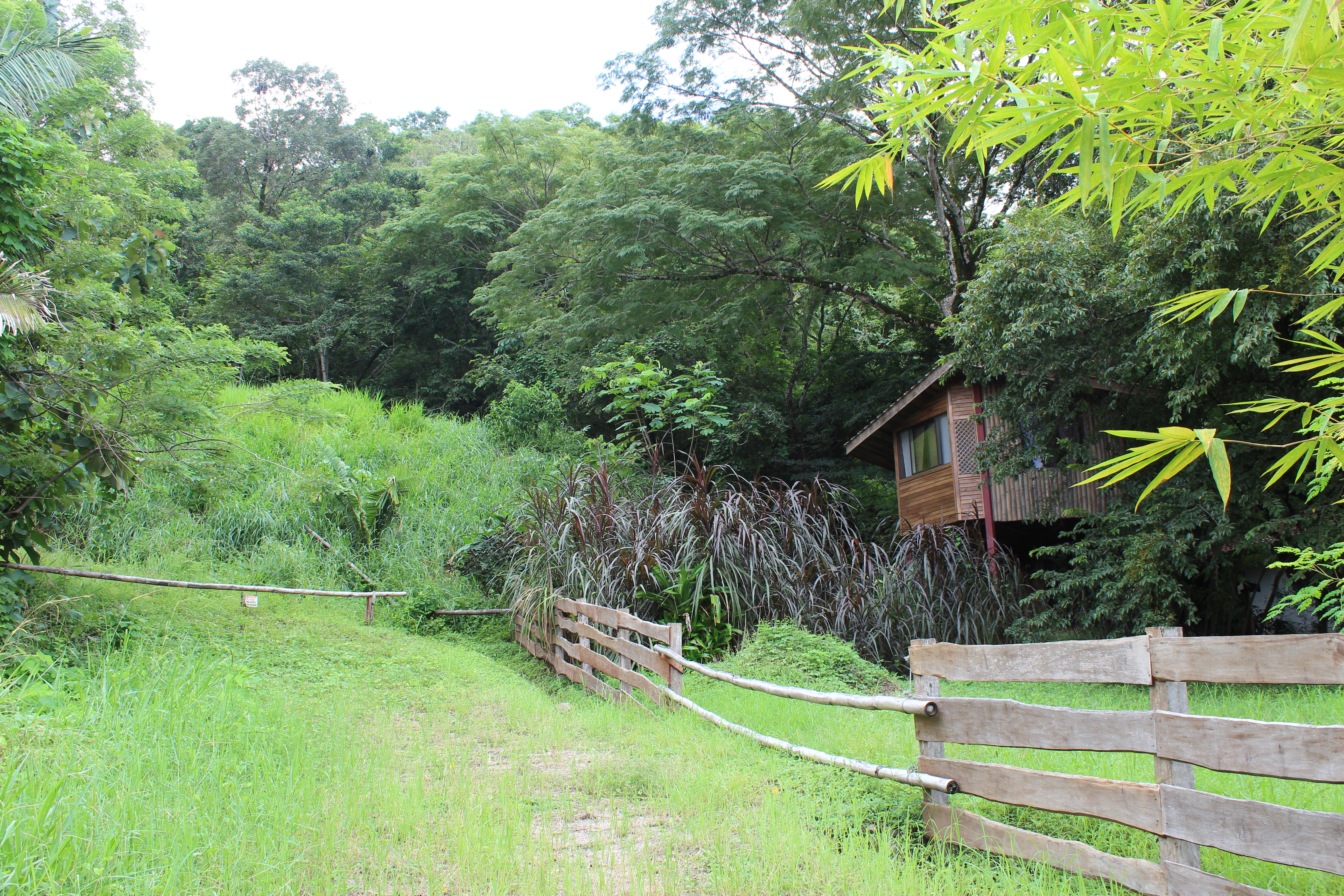 1 bed Land For Sale in Samara, Guanacaste - thumb 12
