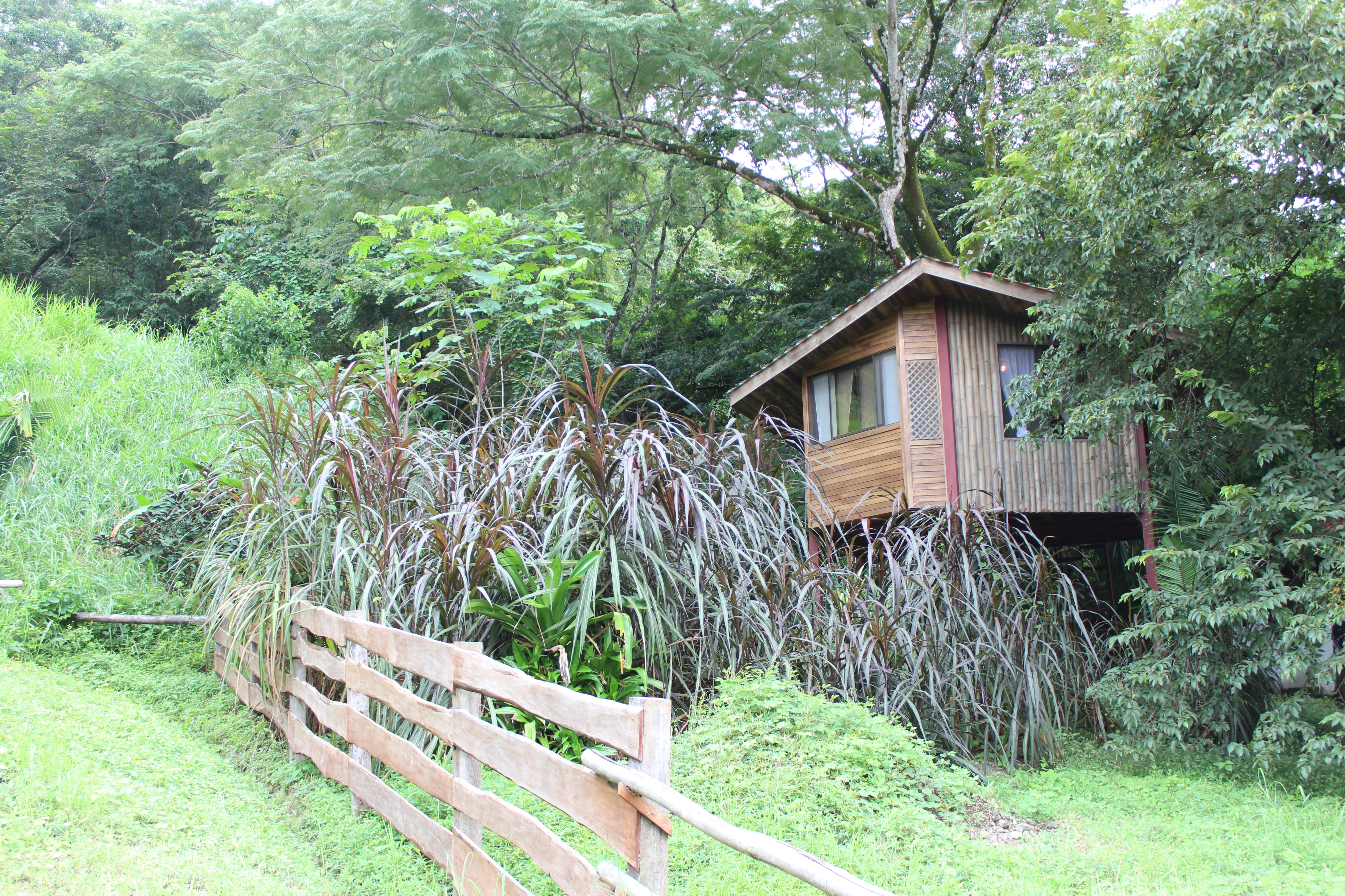 1 bed Land For Sale in Samara, Guanacaste - thumb 14