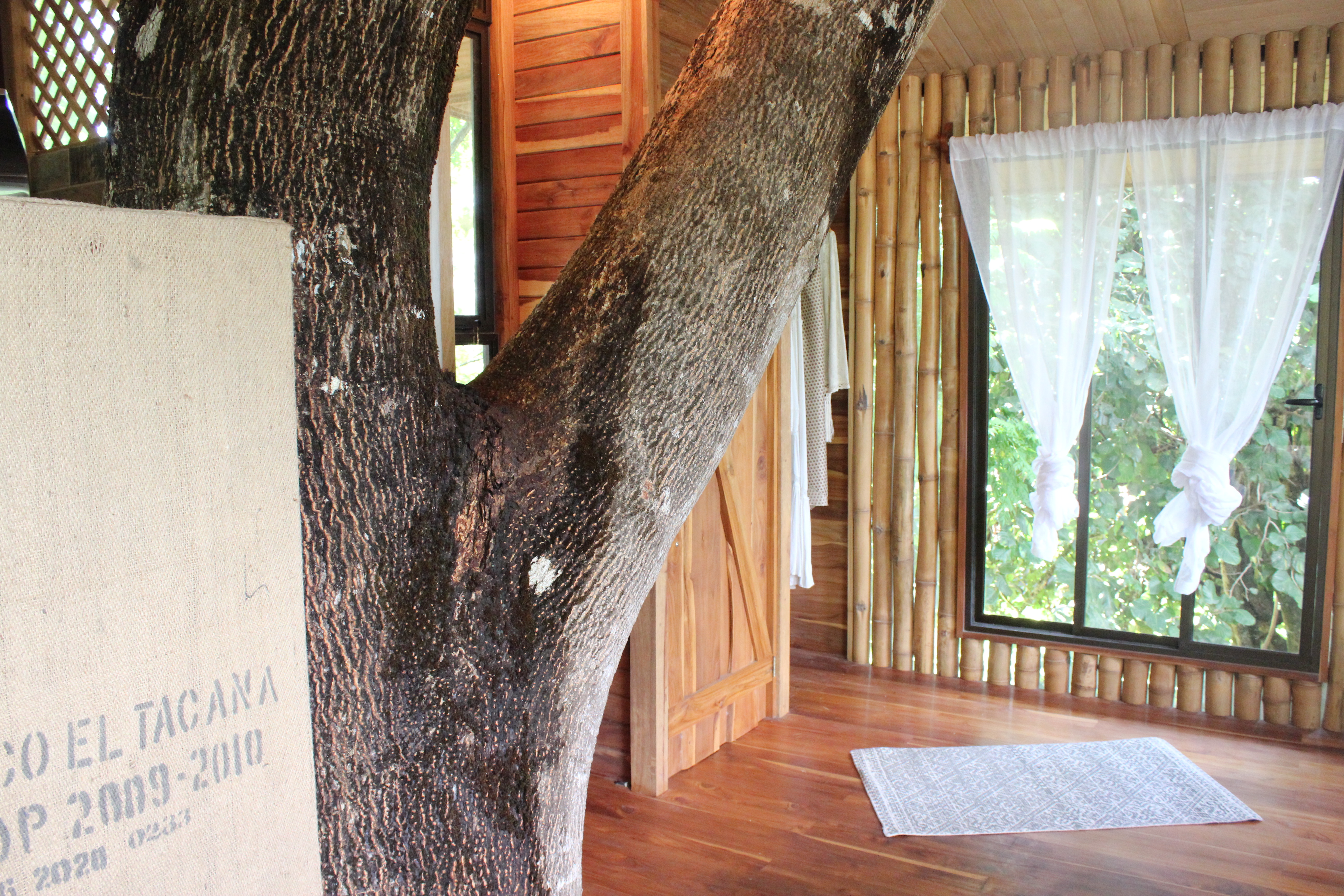 1 bed Land For Sale in Samara, Guanacaste - thumb 15