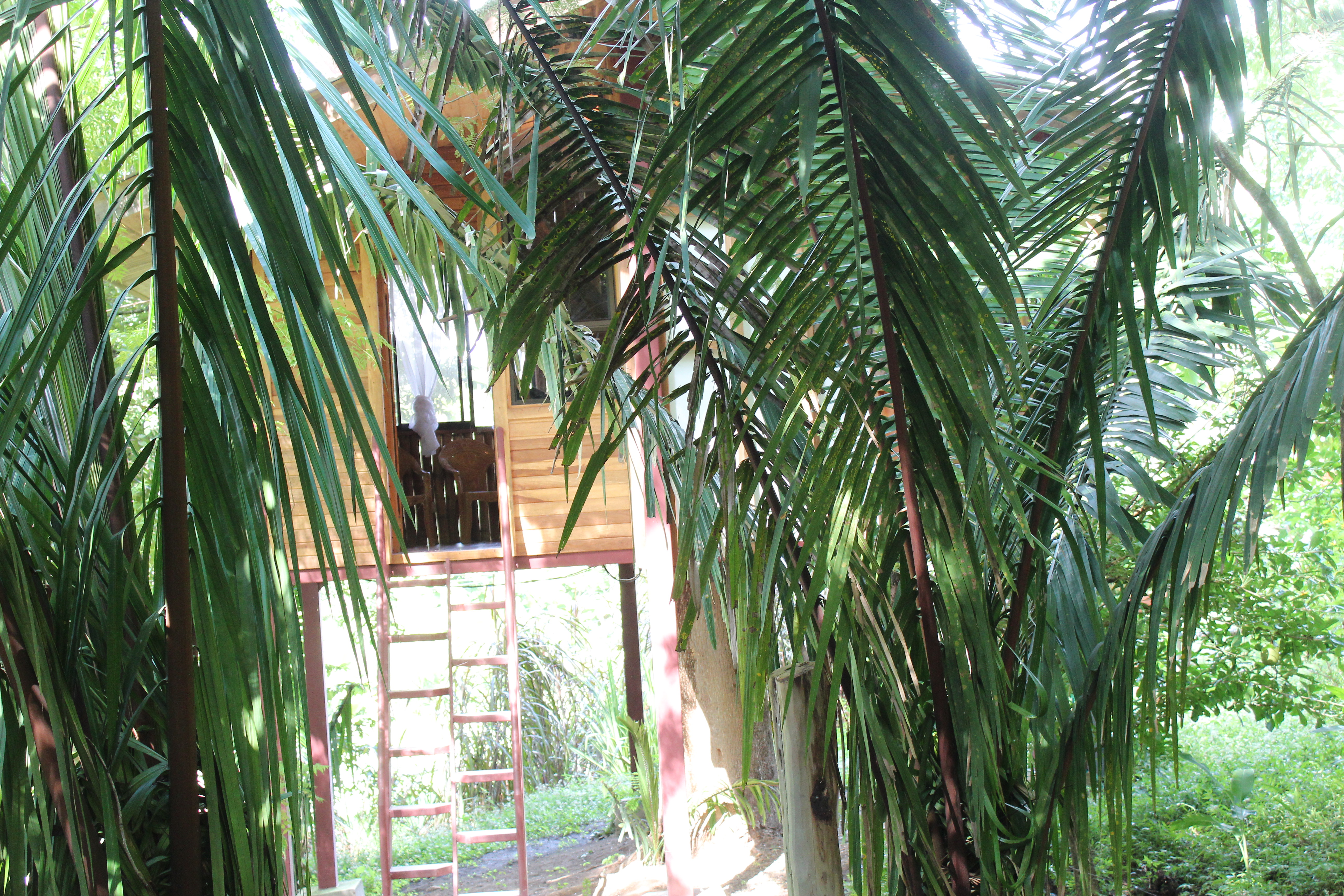 1 bed Land For Sale in Samara, Guanacaste - thumb 11