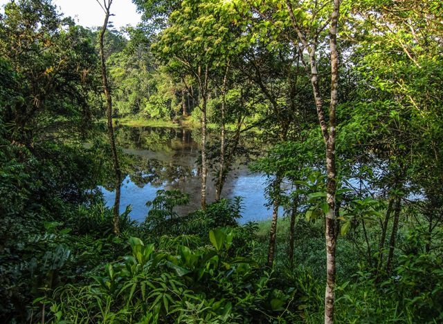 2 bed Single Family Homes For Sale in San Vito, Puntarenas - thumb 13