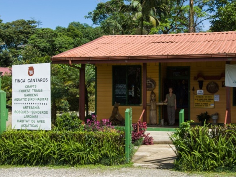 2 Bed Single Family Homes For Sale in San Vito Costa Rica