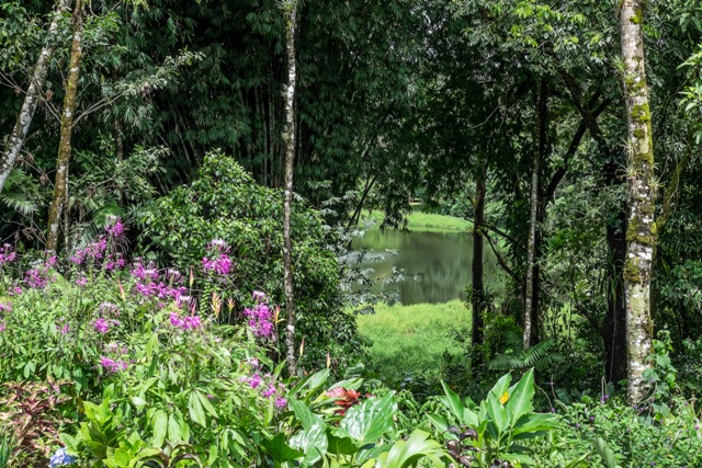2 bed Single Family Homes For Sale in San Vito, Puntarenas - thumb 17