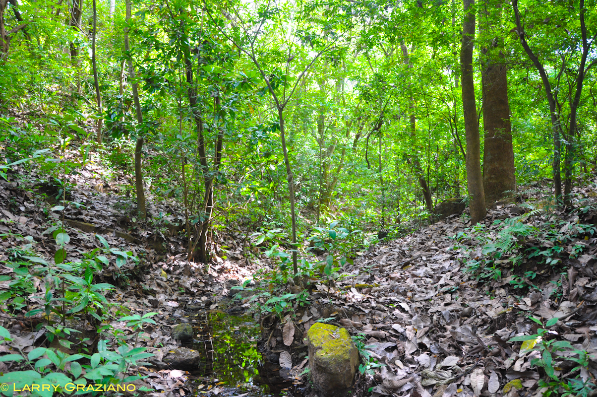 0 bed Land For Sale in Playa Negra, Guanacaste - thumb 2