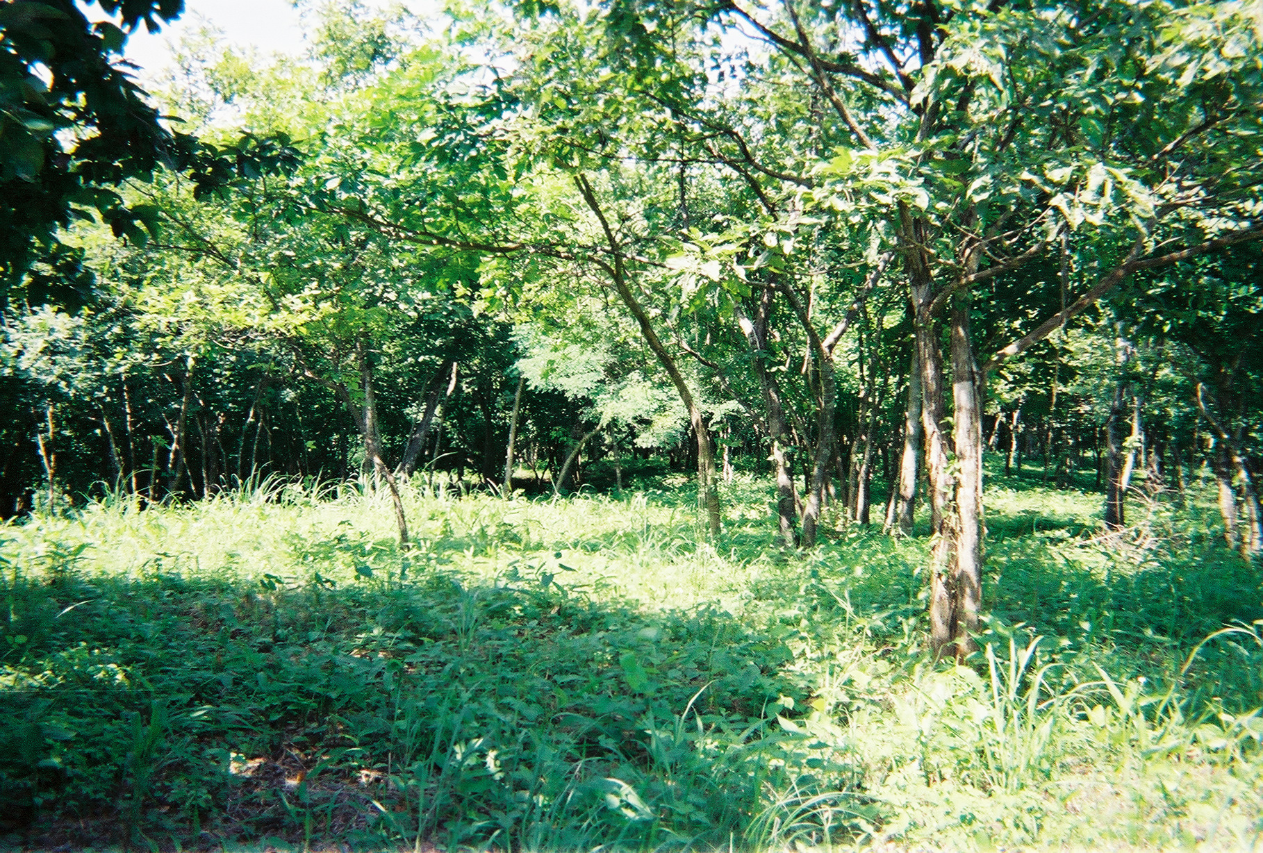 0 bed Land For Sale in Playa Negra, Guanacaste - thumb 7