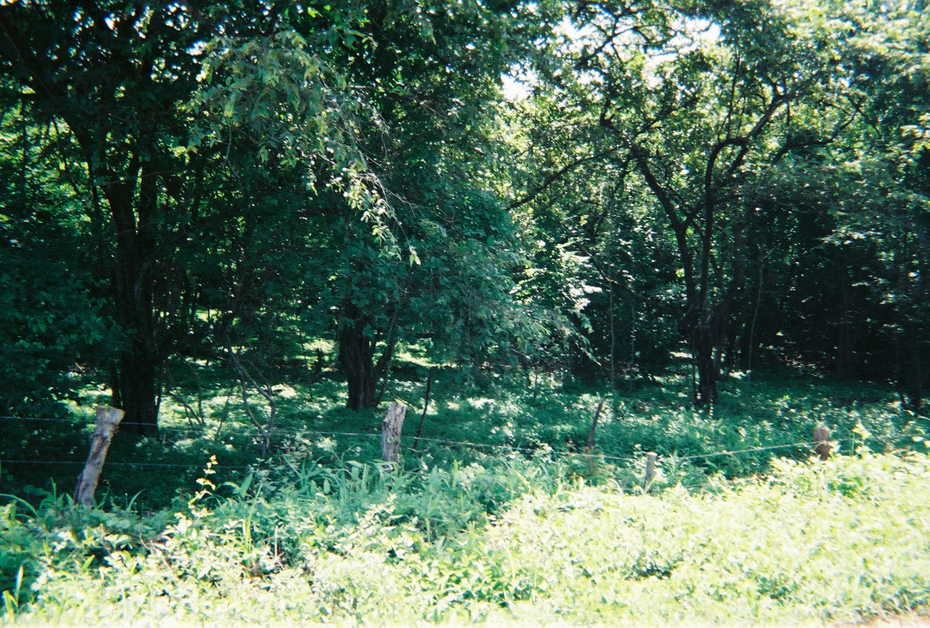 0 bed Land For Sale in Playa Negra, Guanacaste - thumb 6