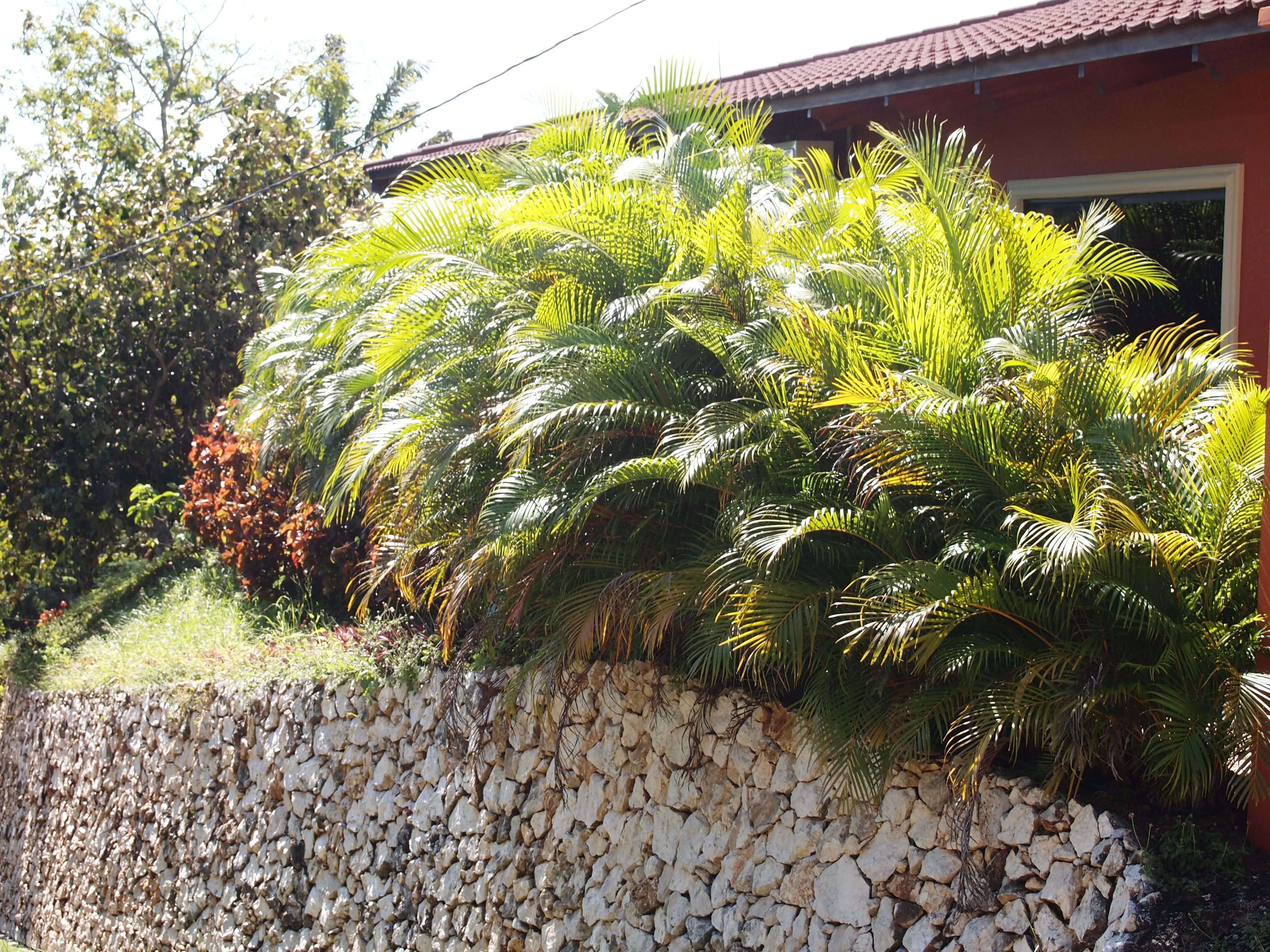 2 bed Single Family Homes For Sale in Samara, Guanacaste - thumb 15