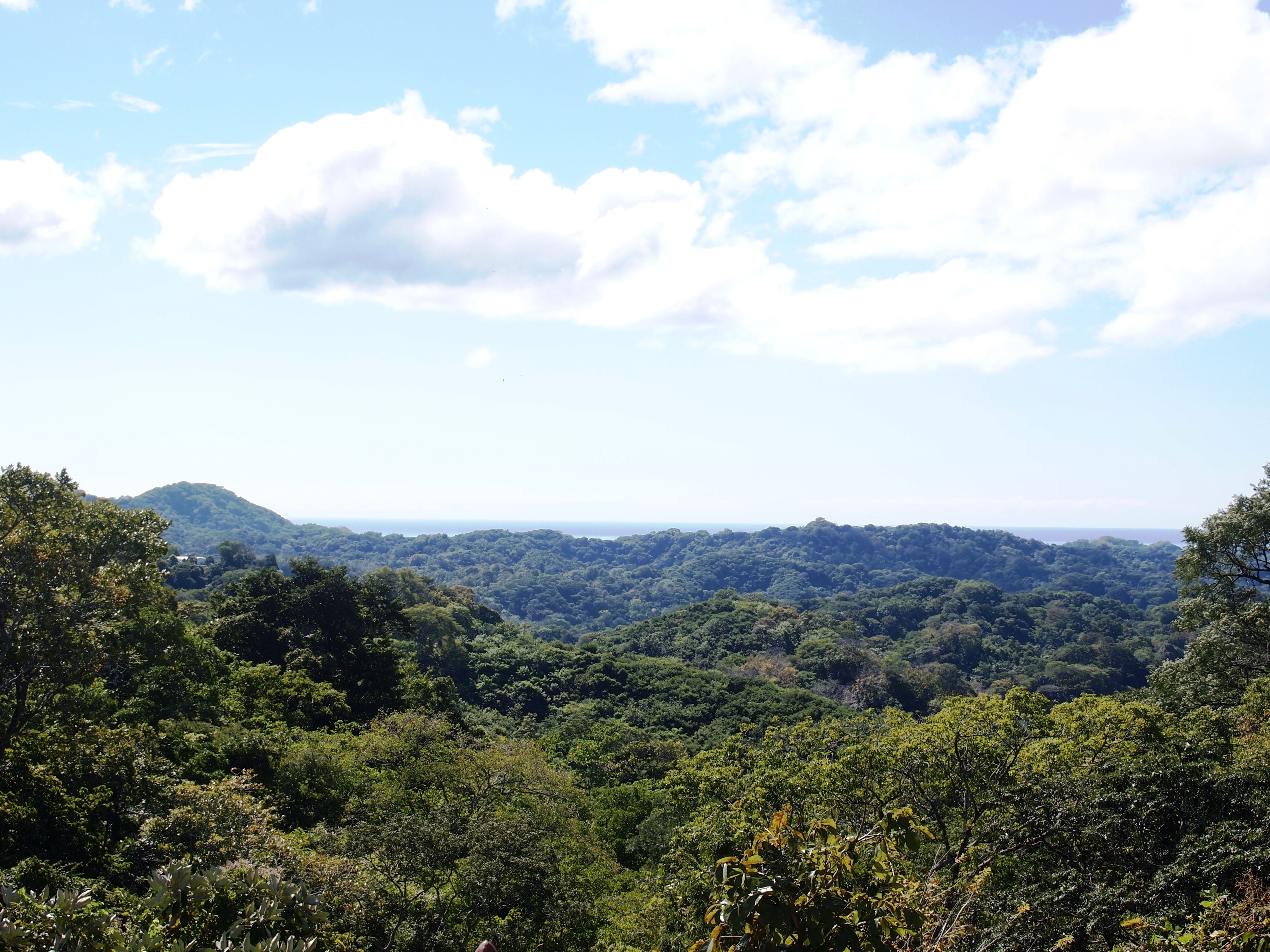 2 bed Single Family Homes For Sale in Samara, Guanacaste - thumb 5