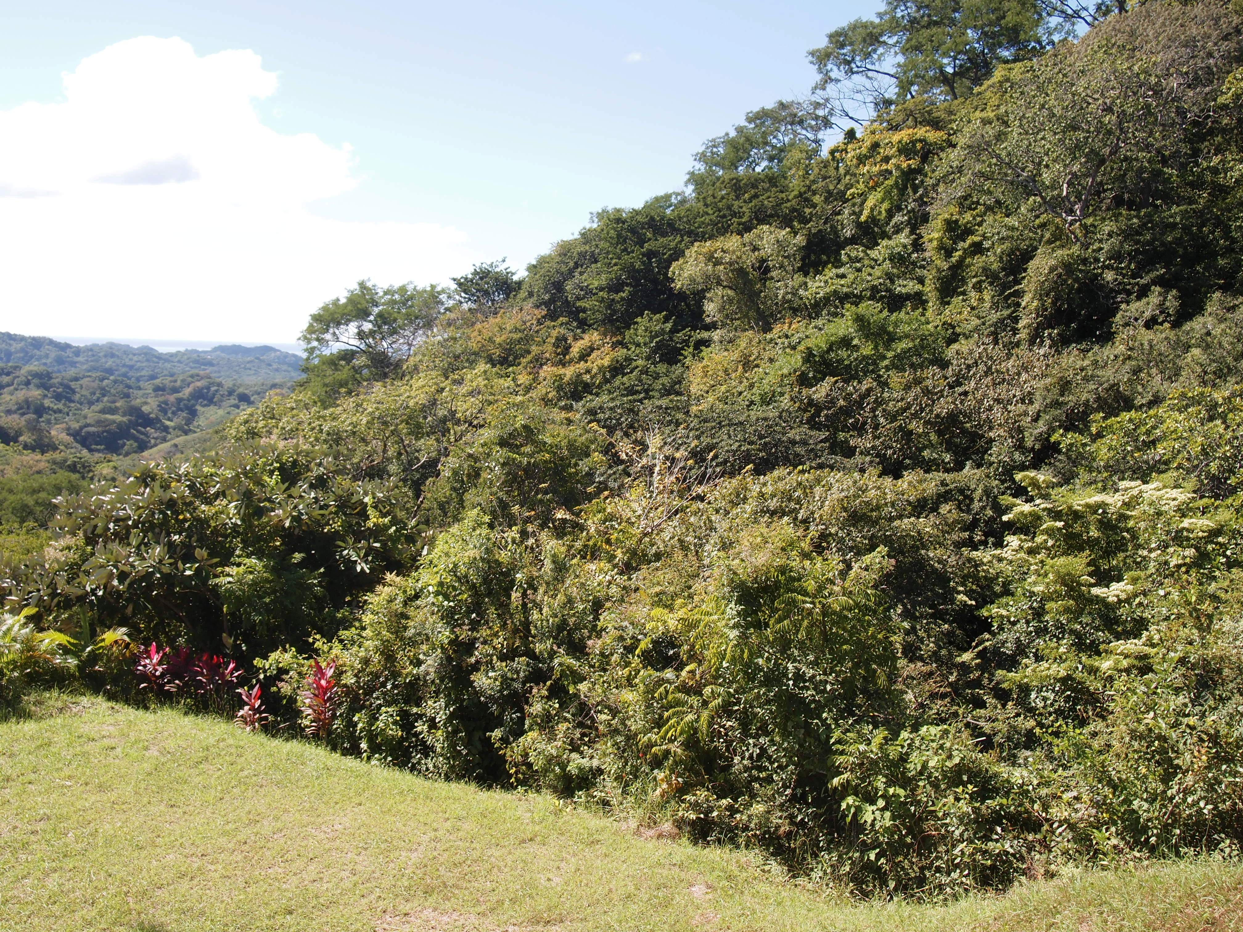 2 bed Single Family Homes For Sale in Samara, Guanacaste - thumb 17